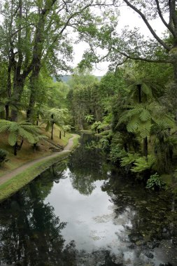 Terra Nostra Park, Sao Miguel Island, Portekiz