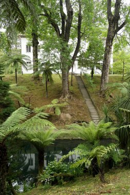 Terra Nostra Park, Sao Miguel Island, Portekiz