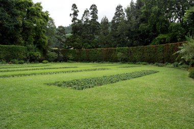 Terra Nostra Park, Sao Miguel Island, Portekiz