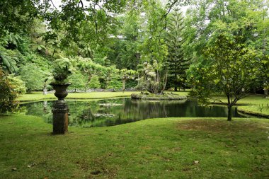 Terra Nostra Park, Sao Miguel Island, Portekiz