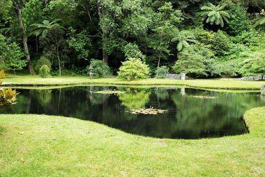 Terra Nostra Park, Sao Miguel Island, Portekiz