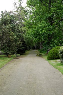Terra Nostra Park, Sao Miguel Island, Portekiz