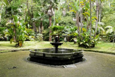 Terra Nostra Park, Sao Miguel Island, Portekiz