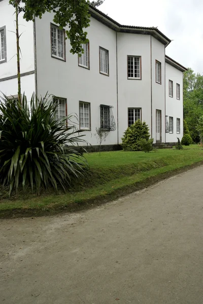 Terra Nostra Park, Sao Miguel island, Portugal — Stock Photo, Image