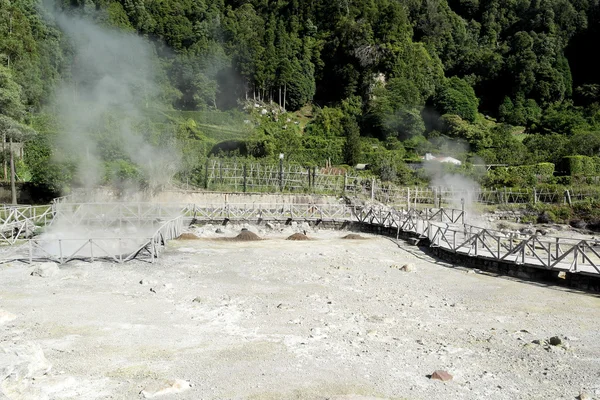 Furnas, Sao Miguel island, Portugal — Stockfoto