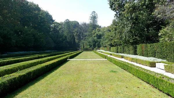 Serralves garden, Porto, Portugal — Stock Photo, Image