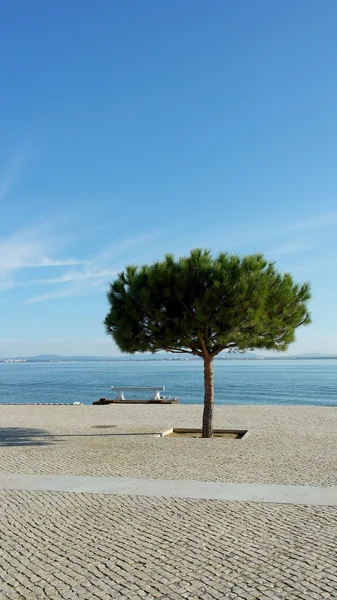 Riverside, Lisboa, Portugal —  Fotos de Stock