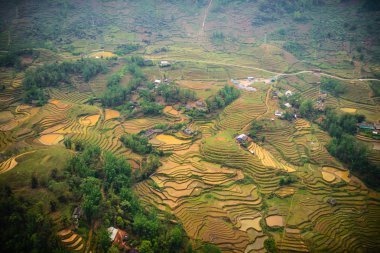 Pirinç tarlaları dağlar, Sa Pa, Kuzey Vietnam