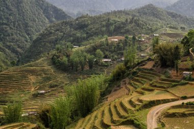 Pirinç tarlaları dağlar, Sa Pa, Kuzey Vietnam