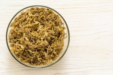 Beyaz üzerinde izole edilmiş kuru sphagnum yosunu yığını