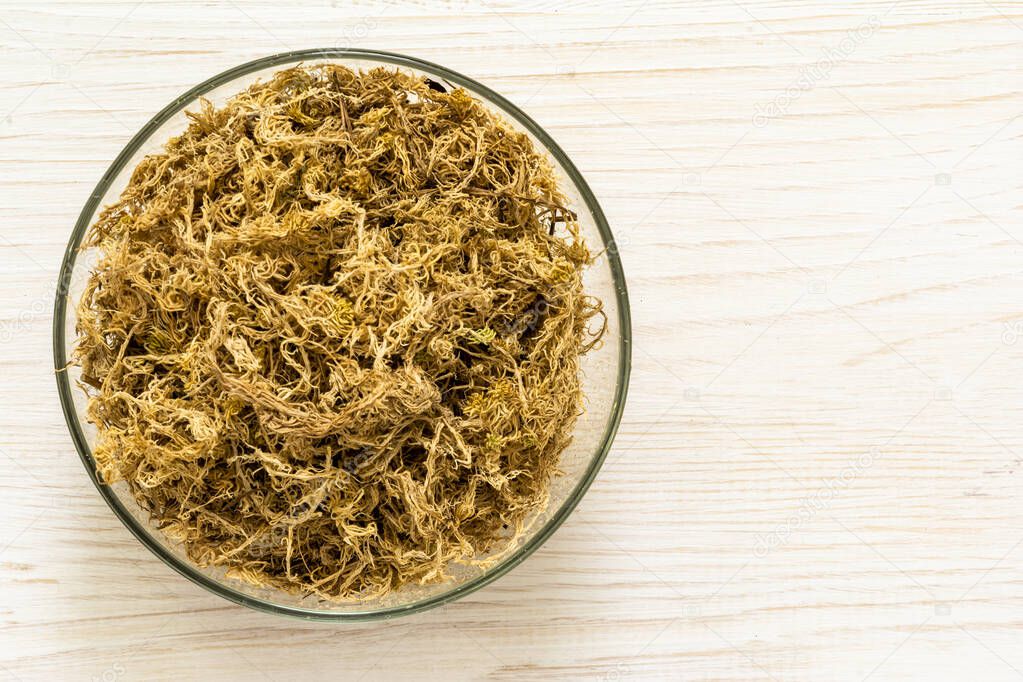 Pile of dry sphagnum moss isolated on white