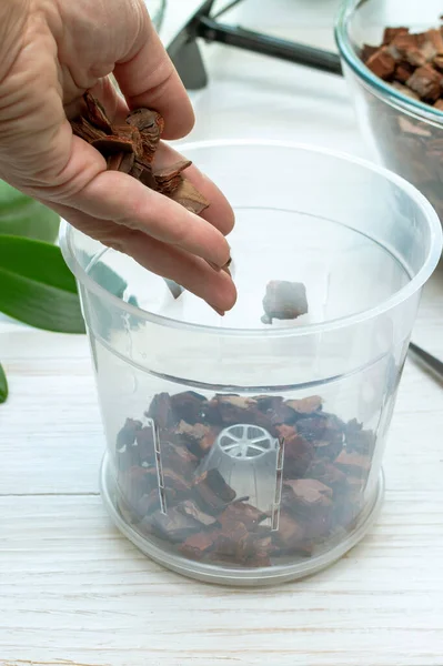 Evde organ nakli yapan orkideler. Ağaç kabuğu toprağı, ot ve yosun ekme aletleri. Orkide nakli işlemi. Çam kabuğuyla birlikte tencereye götür.