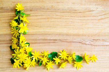 Arka plan ile ahşap masa üzerinde sarı çiçek