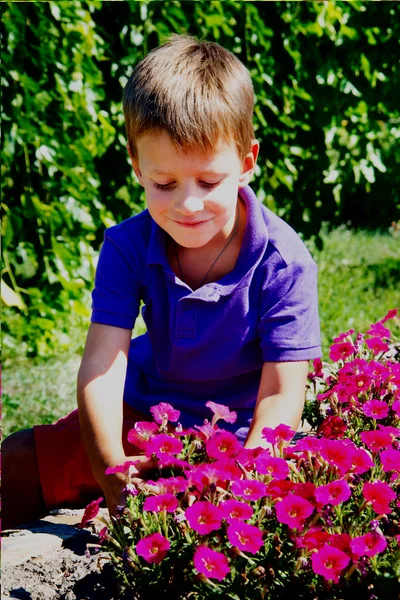 Cute boy smelling petunia flower — Stock Photo, Image