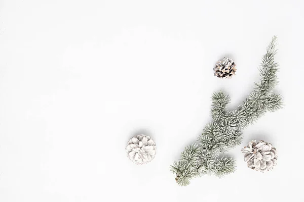 Kopieer Ruimte Met Kerstboom Tak Dennenappel Witte Achtergrond Plat Lay — Stockfoto