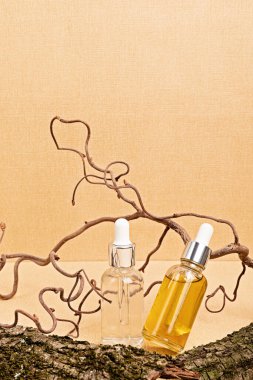 Kum bej arka planında ahşap doğa elementleri olan cam şişelerde berrak ve kehribar serumlar. Doğal çevre dostu güzellik ürünleri konsepti. Yakın çekim.