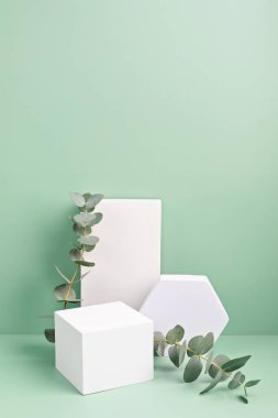 Podyum, ürün sunumu ve okaliptüs için ayakta durun. Damgalama, paketleme için model