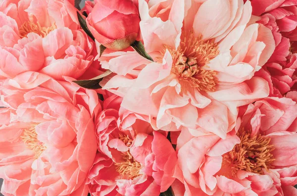 Buquê de peônias rosa. florista artesanal, loja floral, conceito de entrega de flores, ideia do cartão de saudação — Fotografia de Stock