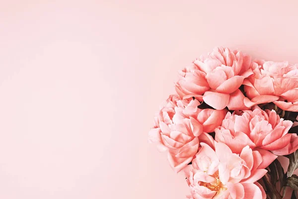 분홍 고추 한 다발. 아르티 잔 꽃병, 꽃가게, 꽃 배달 개념 , 카드 아이디어 — 스톡 사진