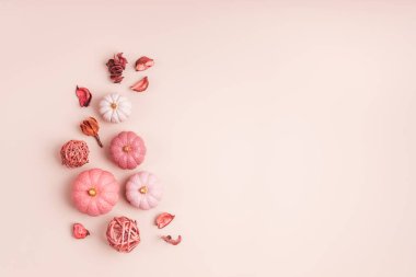 El yapımı alçı balkabağı koleksiyonu. Sonbahar tatillerinin arka planında pembe renklerde. Cadılar Bayramı için balkabağı, Şükran Günü, sonbahar süslemeleri