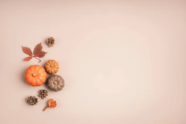 Colección de calabazas de yeso hechas a mano. Fondo de vacaciones estacionales de otoño — Foto de Stock