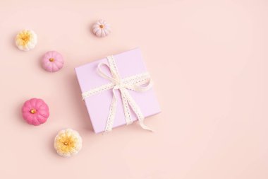 El yapımı alçı balkabağı ve hediye kutusu kompozisyonu. Sonbahar tatillerinin arka planında pembe renklerde. Cadılar bayramı, şükran günü ve sonbahar dekorasyonu için alçıtaşı kabakları.