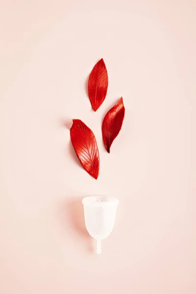 Copa Menstrual Reutilizable Sostenible Cero Desperdicio Cuidado Del Período Neutral — Foto de Stock