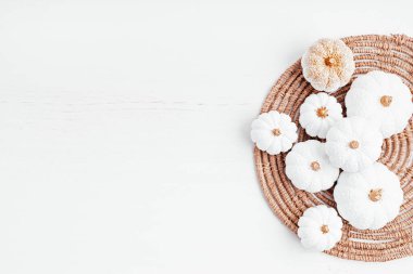 Beyaz el yapımı alçı balkabağı koleksiyonu. Sonbahar mevsimsel tatil geçmişi
