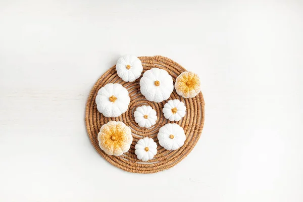Kolekce bílých ručně vyrobených dýní ze sádry. Podzimní sezónní prázdniny pozadí — Stock fotografie