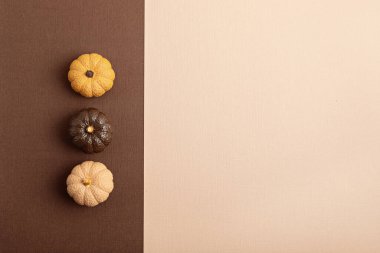 El yapımı alçıtaşlı balkabağı ve fotokopi alanı ile düz yatıyordu. Sonbahar tatili kartı modeli