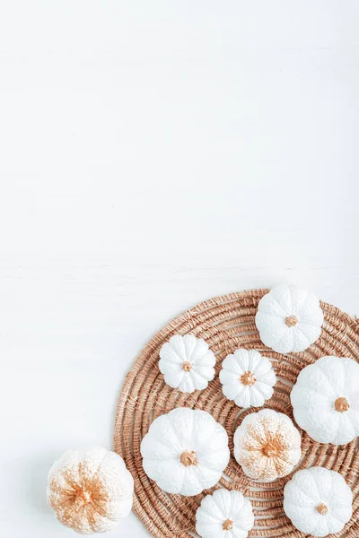 Colección Calabazas Yeso Blanco Hechas Mano Fondo Vacaciones Estacionales Otoño — Foto de Stock