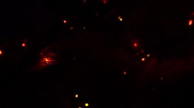 Yılbaşı ağacı ışıkları gece parıldıyor. Süslemeleri ve aydınlığı olan yeni yıl ağacı.