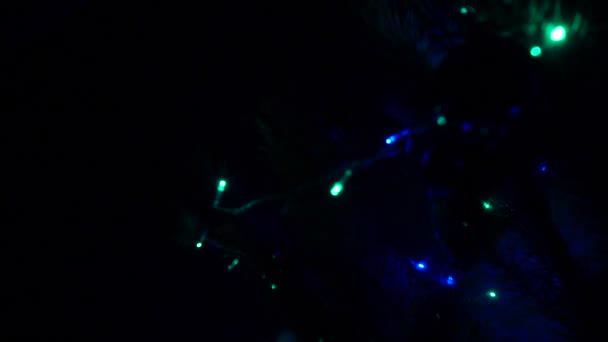 In der Nähe leuchtet ein Weihnachtsbaum, der nachts glitzert. Silvesterbeleuchtung. — Stockvideo