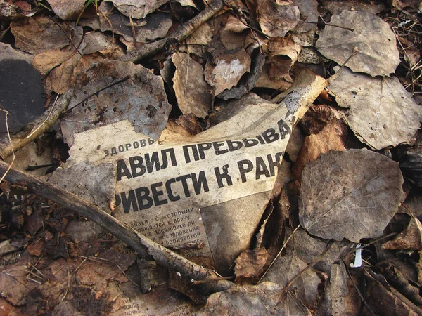 Ormana atılmış bir gazete.