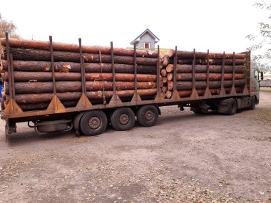 Araba, her türlü ürünü üretmek için ölü ağaçları getirdi.