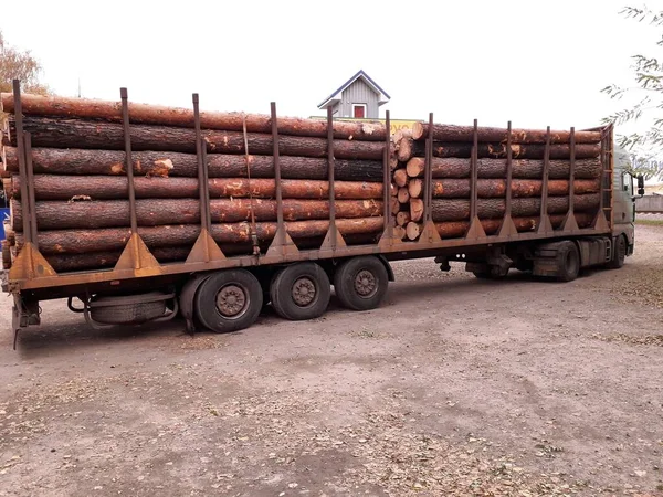 Araba, her türlü ürünü üretmek için ölü ağaçları getirdi.