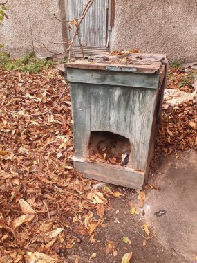 İçinde cam yünlü yünlü bir sokak köpeği için boş bir köpek kulübesi.