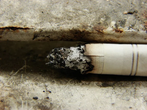 sigara kalıntısı nikotinden zarar görmüş.