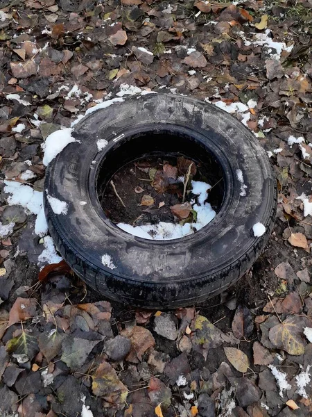 Geçici çiçek tarhında kullanılan terk edilmiş lastik.