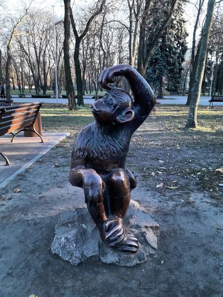 Maymun Maymun Açıklama Zekası