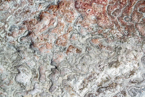 Struktura Kamienia Pokryta Złożami Wapnia Tekstura Pamukale — Zdjęcie stockowe