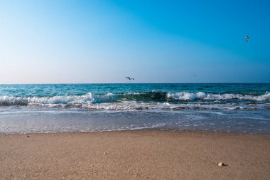 Deniz Burnu. Kumlu sahilde dalgalar akıyor. Güzel bir günde deniz kıyısında ya da okyanusta. Deniz kenarında tatil ve dinlenme.