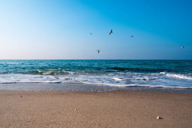 Deniz Burnu. Kumlu sahilde dalgalar akıyor. Güzel bir günde deniz kıyısında ya da okyanusta. Deniz kenarında tatil ve dinlenme.