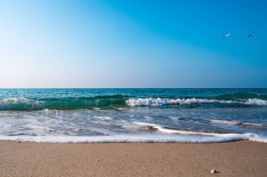 Deniz Burnu. Kumlu sahilde dalgalar akıyor. Güzel bir günde deniz kıyısında ya da okyanusta. Deniz kenarında tatil ve dinlenme.