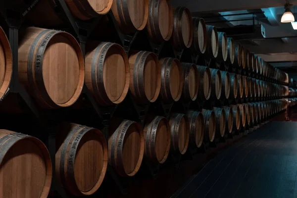 Long Row Wooden Wine Barrels Modern Wine Cellar — Stock Photo, Image