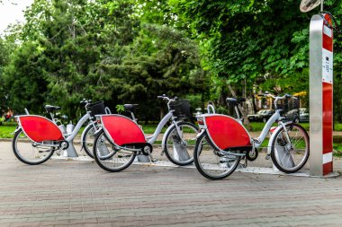 Yeşil parktaki self-servis istasyonuna park edilmiş kırmızı renkli bir sıra bisiklet..