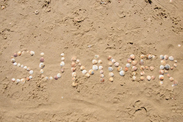 Mot coquille d'été écrit sur le sable de plage . — Photo
