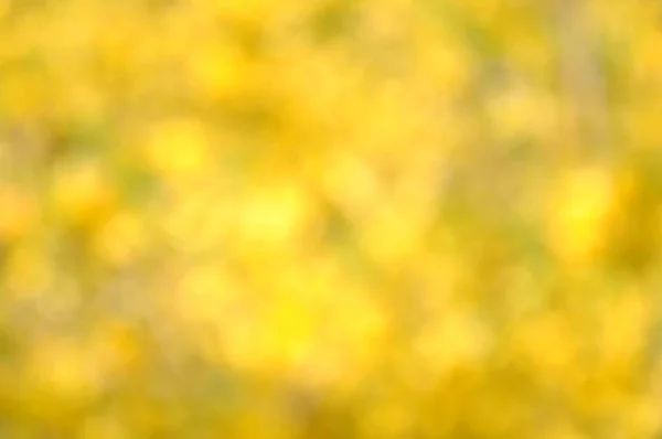 Lente Zomer Natuurlijke Wazig Achtergrond Abstract Achtergrond Mooie Groene Gele — Stockfoto