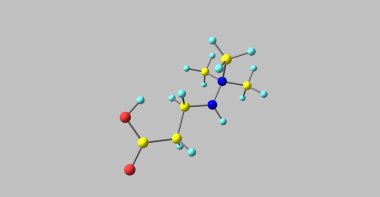 Gri izole Meldonium moleküler yapısı