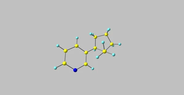 3D-Darstellung der molekularen Struktur des Nikotins isoliert auf grau — Stockfoto